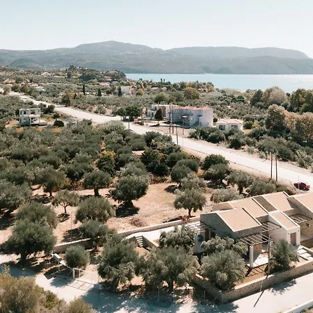 Petrino Foinikounta * Finikounta