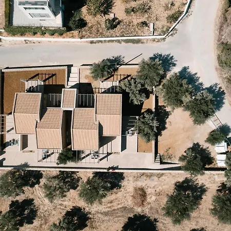 Petrino Foinikounta Finikounta