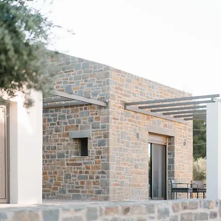 Petrino Foinikounta *