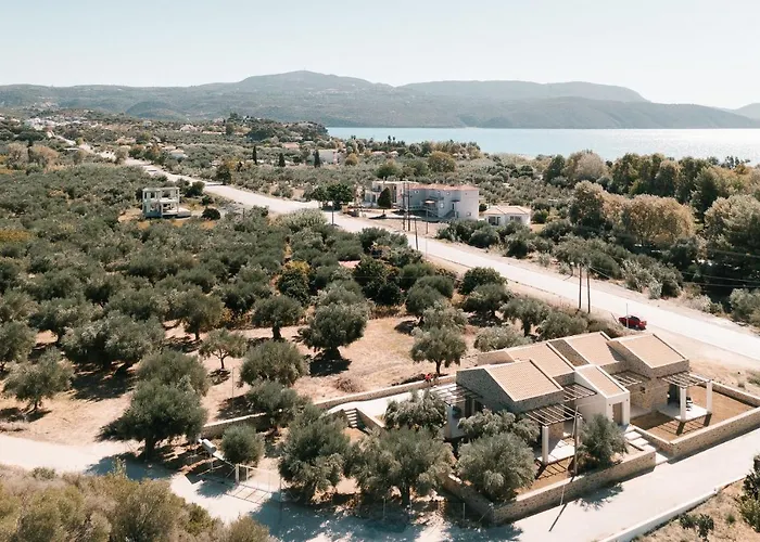 Petrino Foinikounta * Φοινικούντα