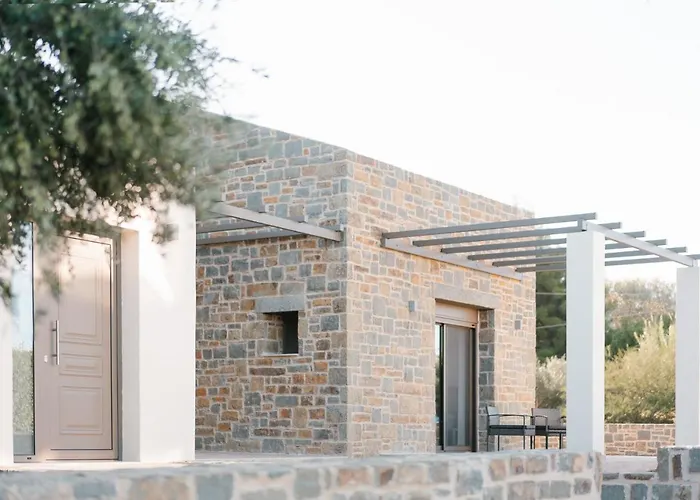 Petrino Foinikounta *